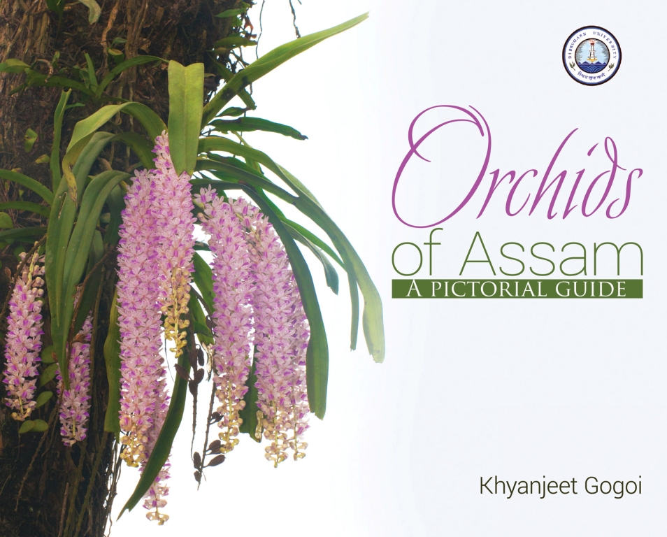 for website orchids copy